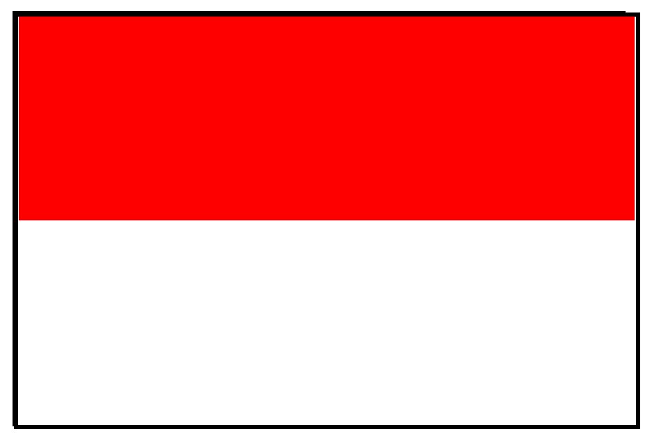 Indonesia Flag